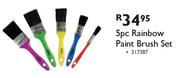 Rainbow Paint Brush Set-5 Piece