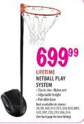Lifetime Netball Play System
