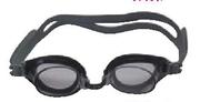 Victory Junior Goggles-Each