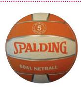 Spalding Goal Netball