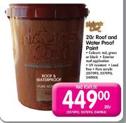 Nature Coat Roof And Water Proof Paint-20ltr