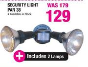 Security Light Par 38