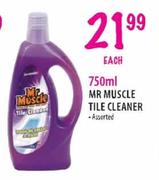 MR Muscle Tile Cleaner-750ml