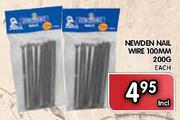 Newden Nail Wire 100mm-200g Each