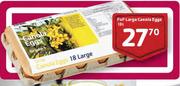 PnP Large Canola Eggs-18s