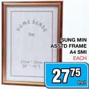 Sung Min Asstd Frame A4 Smi