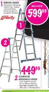 Gravity Wonder Ladder