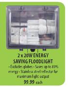 Energy Saving Floodlight-2 x 20W