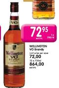 Wellington Vo Brandy-12 x 750ml
