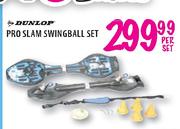 Dunlop Pro Slam Swingball Set