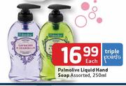 Palmolive Liquid Hand Soap Assorted-250ml Each