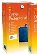 Microsoft Office Professional 2010 Each