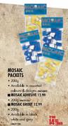 Mosaic Adhesive-200gm