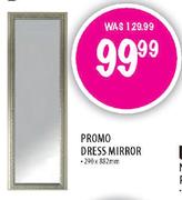 Promo Dress Mirror-290x882cm