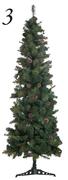 ST Nicholas Tree-180cm Or Pencil Pine Cone Each