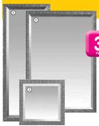 Troy Framed Mirror-458x1100mm Each