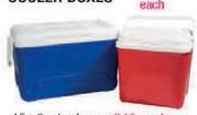 Camp Master 45Ltr Cooler Boxes-Each