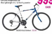 Raleigh Adult Helmet 