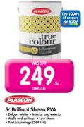 Plascon 5L Brilliant Sheen PVA