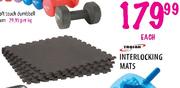 Trojan Interlocking Mats-Each  