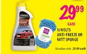 Holts Anti-Freeze Or Mitt Sponge-1L