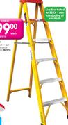 Superhit 6 Step Fibreglass Ladder