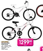 Raleigh Mountain Bike Scout Or Ivy-20" Each