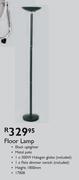 Floor Lamp