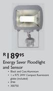 Energy Saver Floodlight & Sensor