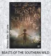 Beasts Of The Southern Wild DVD