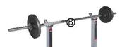 25kg Barbell Set