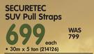 Securetec SUV Pull Straps-30mx5 Ton Each