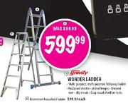 Gravity Wonder Ladder