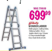 Gravity Wonder Ladder