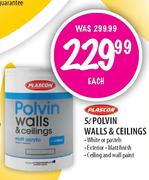Plascon Polvin Walls & Ceilings-5Ltr Each