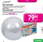 Trojan Body Ball-65cm Each