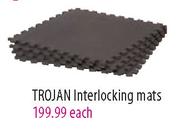 Trojan Inetlocking Mats-Each