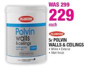 Plascon Polvin Walls & Cellings-5ltr Each