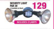Security Light PAR 38