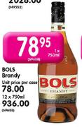 Bols Brandy-12X750ml