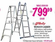 Gravity Wonder Ladder