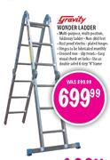 Gravity Wonder Ladder-Each