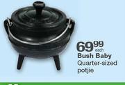 Bush Baby Quarter-Sized Potjie Each