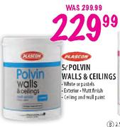 Polvin Walls & Ceilings-5L