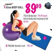 Trojan Body Ball Resistance Kit-65cm Each