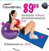 Trojan Body Ball-65cm