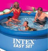 Intex Filter Cartridge-Each