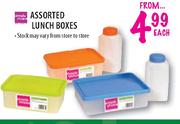 Assorted Lunch Boxes-Each