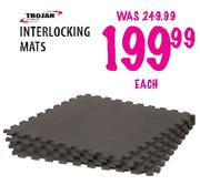 Trojan Interlocking Mats Each