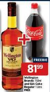 Wellington  Brandy-750ml And Get Coke Regular-1Ltr Free